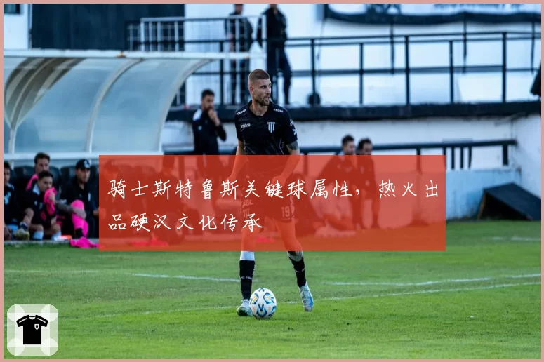 骑士斯特鲁斯关键球属性，热火出品硬汉文化传承