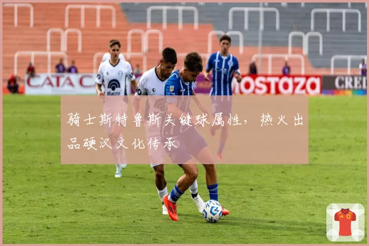 骑士斯特鲁斯关键球属性，热火出品硬汉文化传承