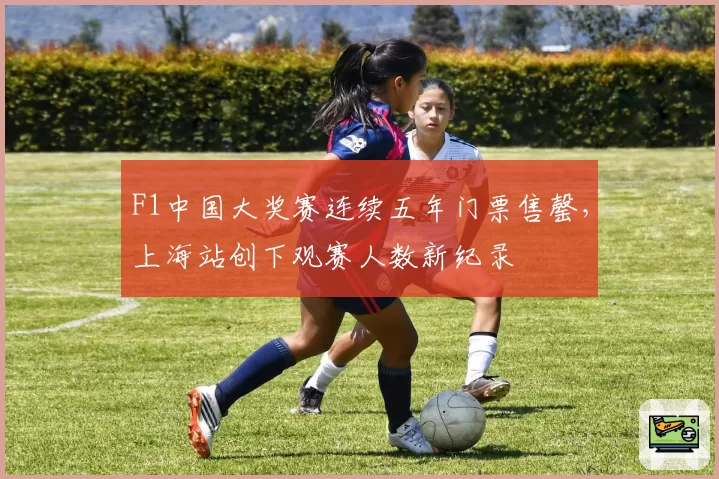 F1中国大奖赛连续五年门票售罄,上海站创下观赛人数新纪录