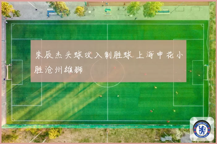 朱辰杰头球攻入制胜球 上海申花小胜沧州雄狮